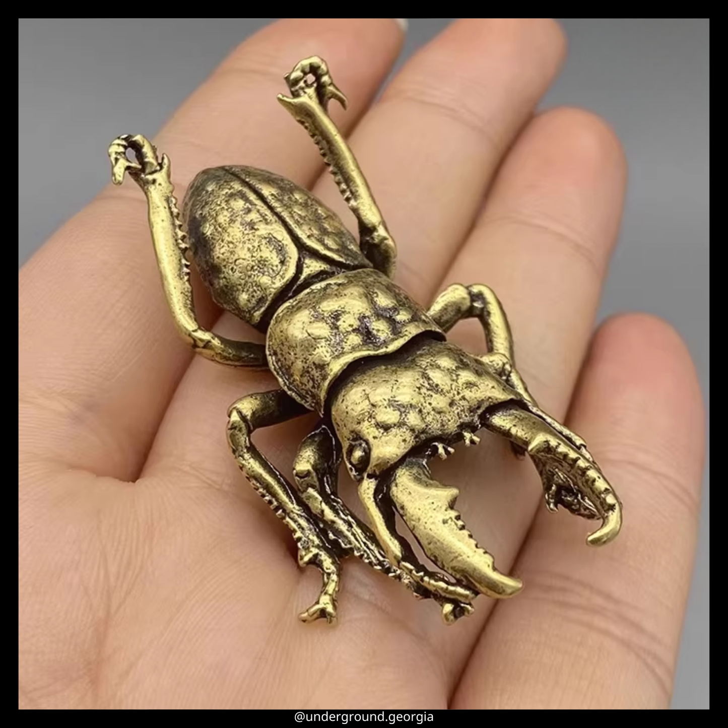 Brass Statue | Bug (2)