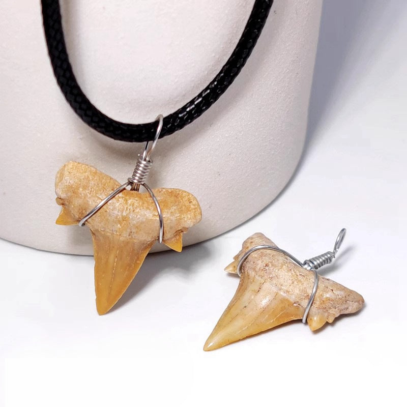 Real Shark's Teeth