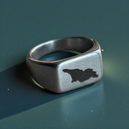 Georgia Map Ring | Stainless Steel Heritage Edition