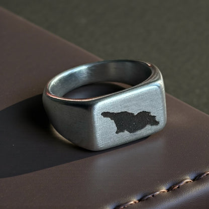 Georgia Map Ring | Stainless Steel Heritage Edition
